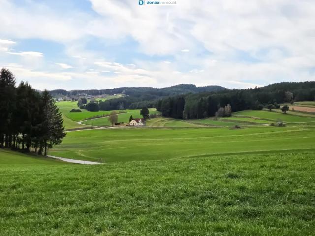 Haus kaufen in Rappottenstein, Niederösterreich