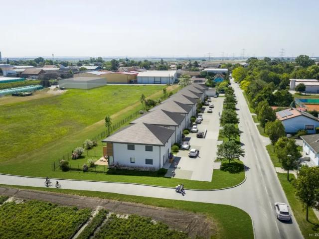 Haus kaufen in Katastralgemeinde Raasdorf, Raasdorf