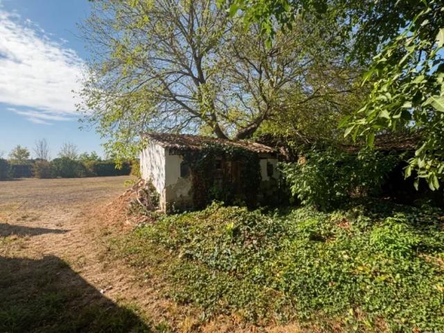 Haus kaufen in Rabensburg, Niederösterreich