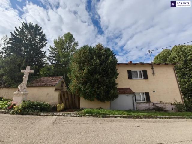 Haus kaufen in Sitzendorf an der Schmida, Niederösterreich
