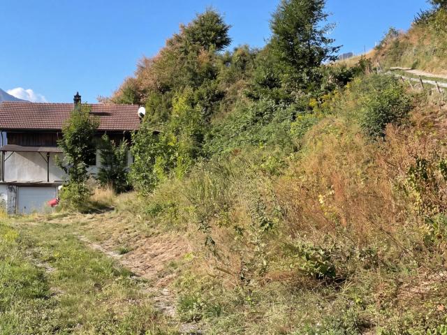 Haus kaufen in Gruyères, Freiburg