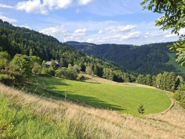 Haus kaufen in Wölzing - Sankt Andrä, Kärnten