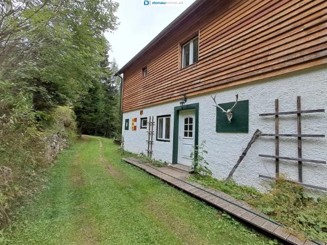 Haus kaufen in Sankt Peter am Kammersberg, Bezirk Murau