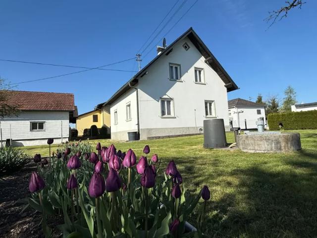 Haus kaufen in Stadl-Paura, Oberösterreich