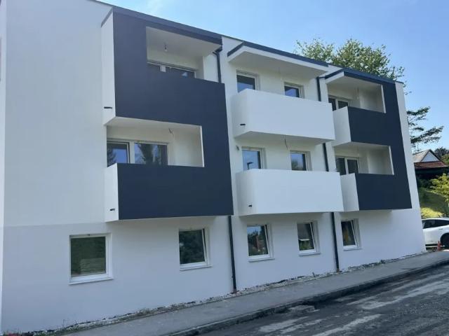 Haus kaufen in Stadl-Paura, Oberösterreich
