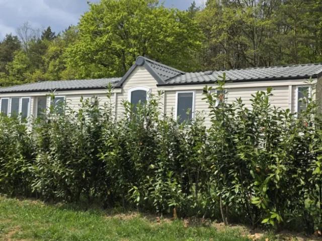 Haus kaufen in Strem, Burgenland