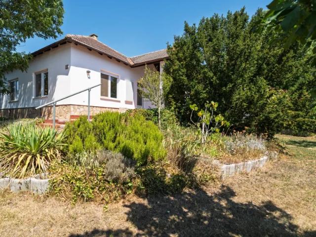 Haus kaufen in Tadten, Burgenland