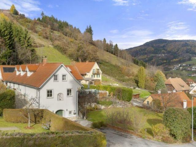 Haus kaufen in Thannhausen, Steiermark