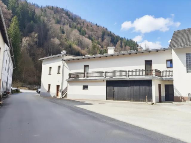Haus kaufen in Tragöß, Steiermark