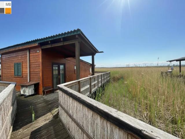 Haus kaufen in Weiden am See, Burgenland