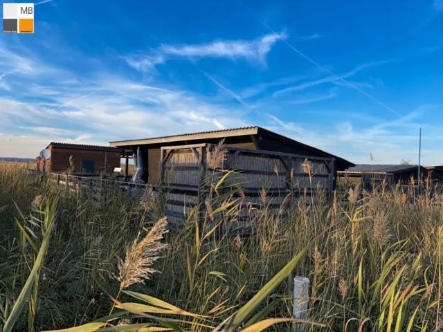 Haus kaufen in Weiden am See, Bezirk Neusiedl am See