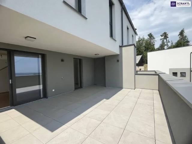 Haus kaufen in Weiz, Steiermark