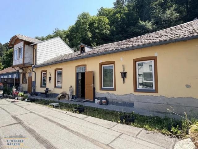 Haus kaufen in Seestadt, Wien