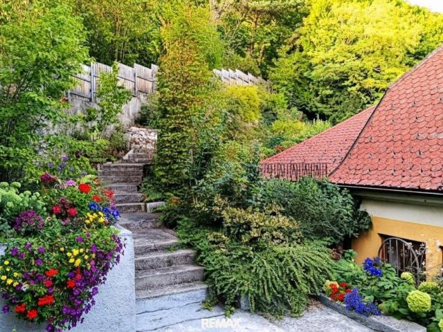 Haus mieten in Baden, Niederösterreich