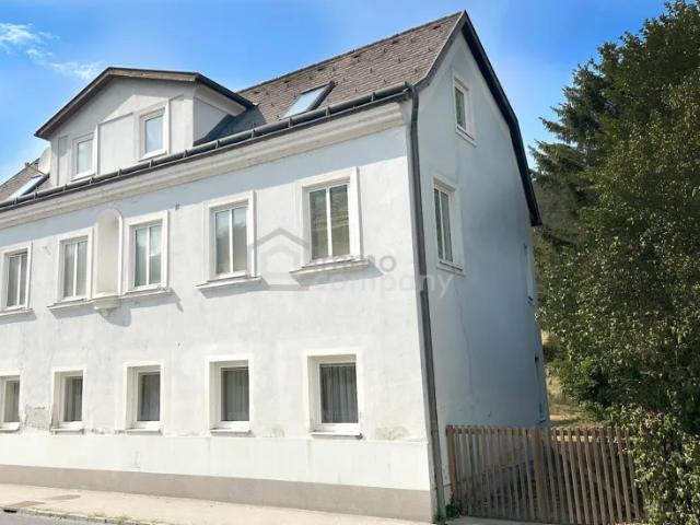 Haus kaufen in Altenmarkt an der Triesting, Niederösterreich