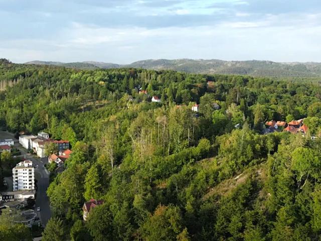 Haus kaufen in Mellau, Vorarlberg