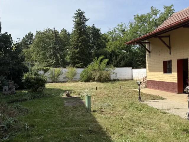 Haus kaufen in Bernhardsthal, Niederösterreich