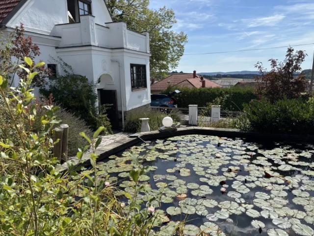 Haus kaufen in Bernstein, Burgenland