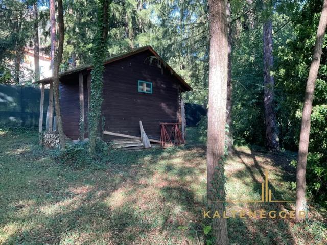 Haus kaufen in Buchbach, Niederösterreich