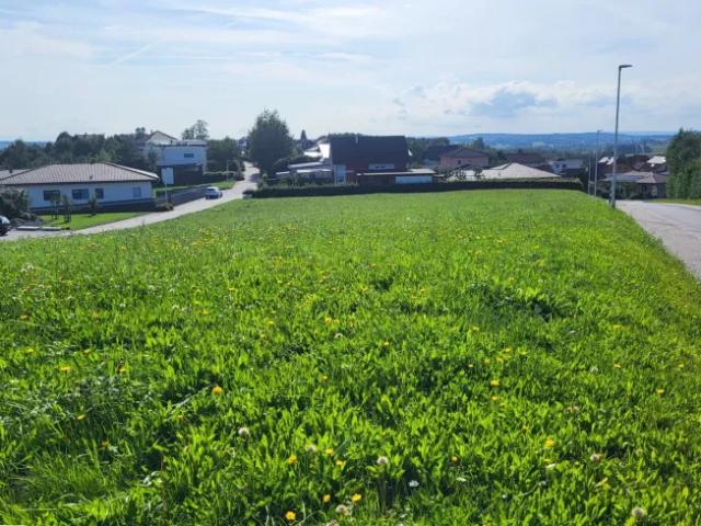 Haus kaufen in Diersbach, Oberösterreich