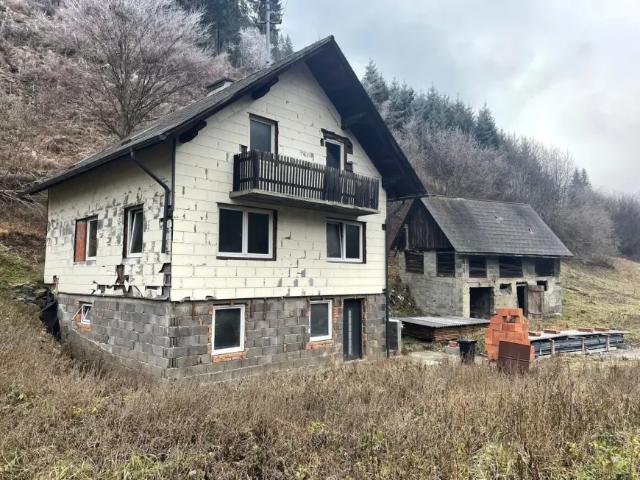 Haus kaufen in Mariahof, Steiermark