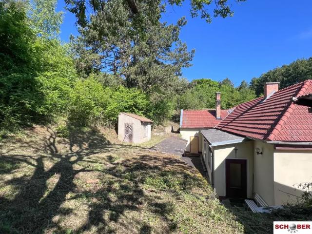 Haus kaufen in Enzesfeld-Lindabrunn, Niederösterreich