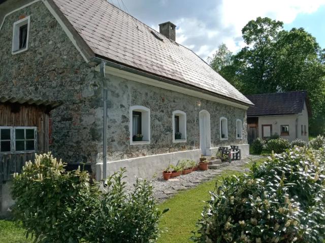 Haus kaufen in Frauenberg, Ardning