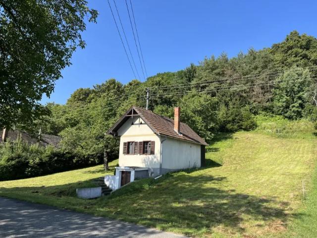 Haus kaufen in Eberau, Burgenland