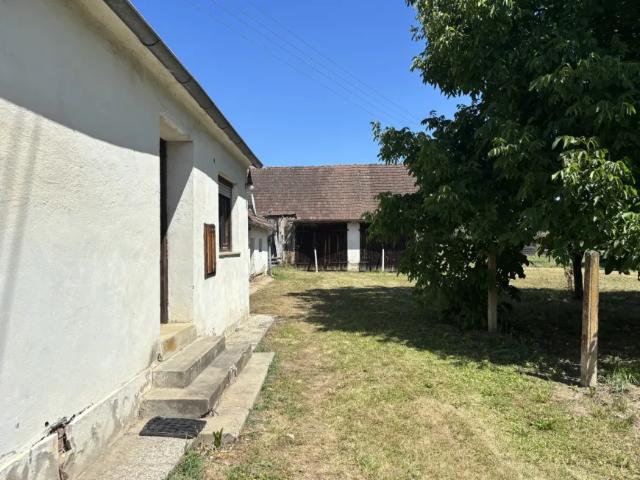 Haus kaufen in Eberau, Burgenland