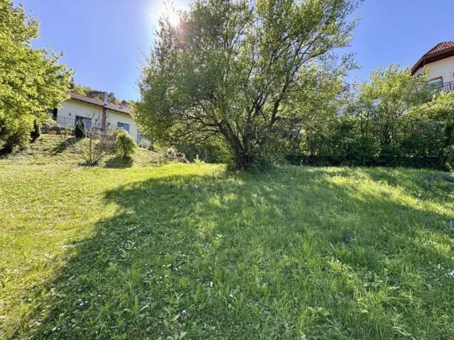 Haus kaufen in Maria Laach am Jauerling, Niederösterreich