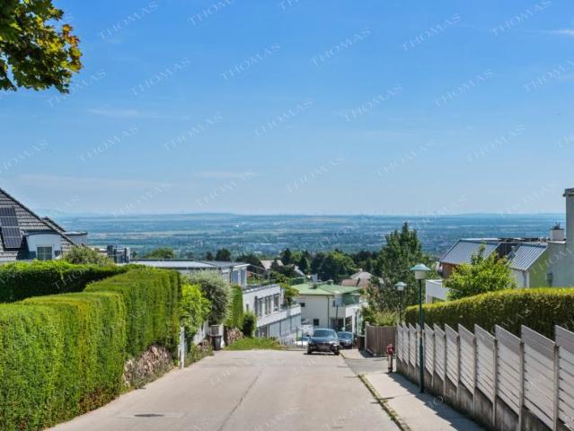 Haus kaufen in Maria Laach am Jauerling, Niederösterreich