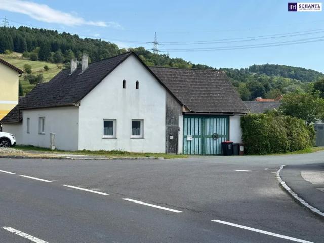 Haus kaufen in Stadtschlaining, Burgenland