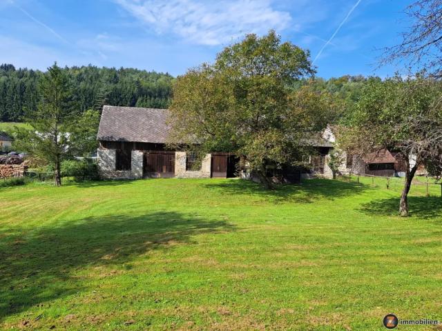 Haus kaufen in Stadtschlaining, Burgenland