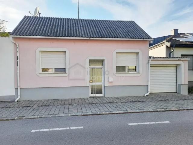 Haus kaufen in Gols, Burgenland