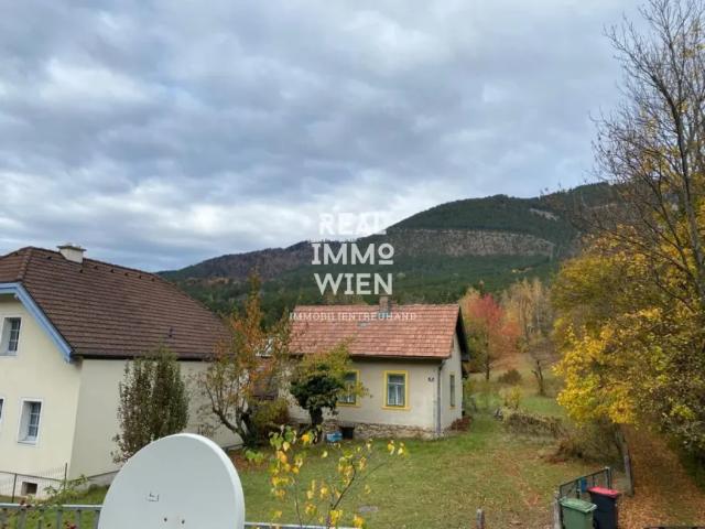 Haus kaufen in Katastralgemeinde Grünbach am Schneeberg, Grünbach am Schneeberg