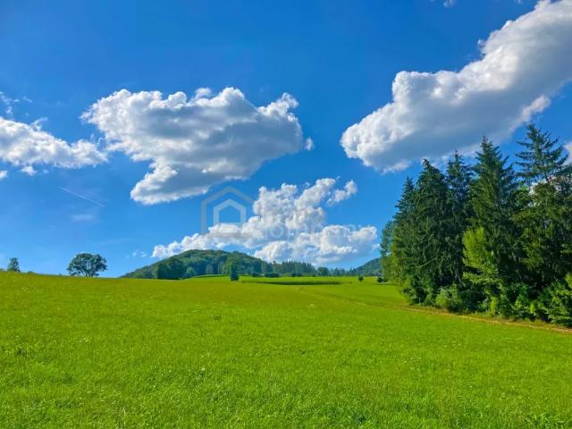 Haus kaufen in Guntersdorf, Niederösterreich