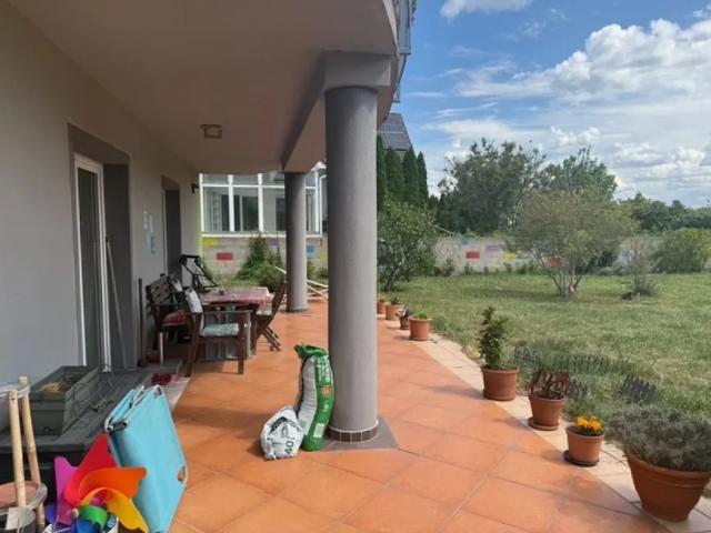 Haus kaufen in Haringsee, Niederösterreich