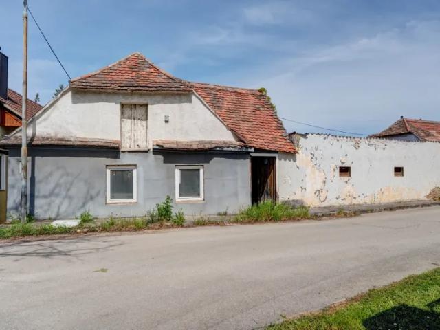 Haus kaufen in Haugsdorf, Niederösterreich