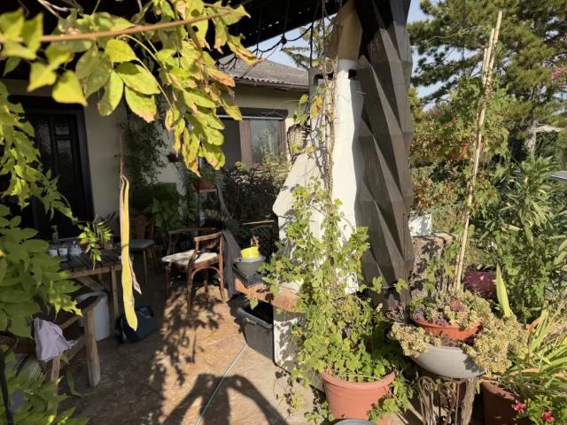 Haus kaufen in Katastralgemeinde Himberg, Himberg