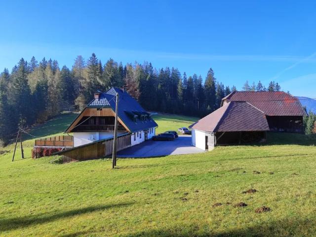Haus kaufen in Dienten, Salzburg