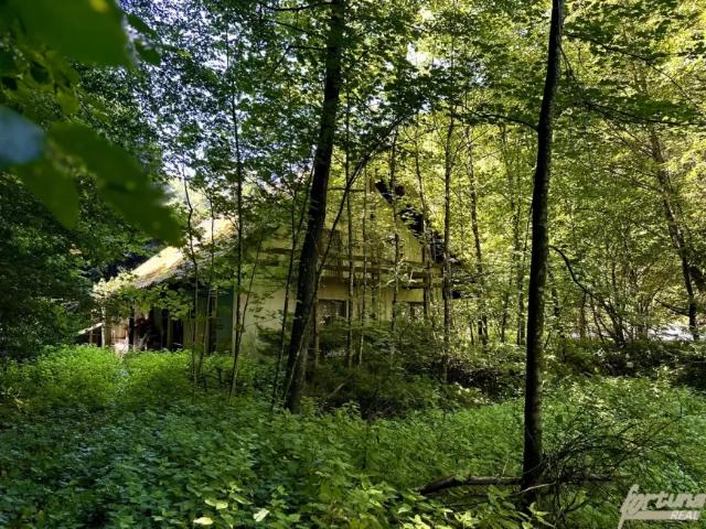 Haus kaufen in Hofamt Priel, Niederösterreich