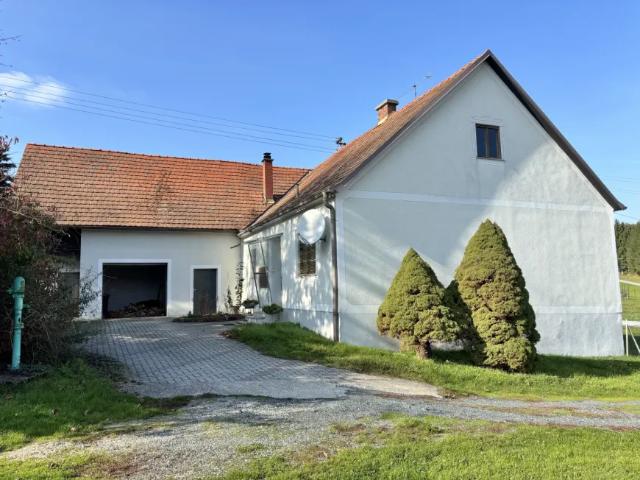 Haus kaufen in Pitten, Niederösterreich
