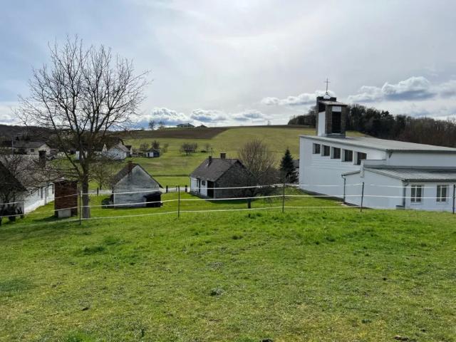 Haus kaufen in Pitten, Niederösterreich