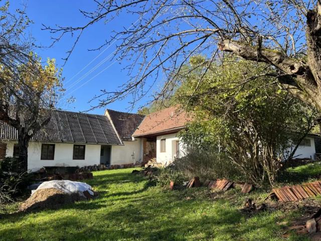Haus kaufen in Pitten, Niederösterreich