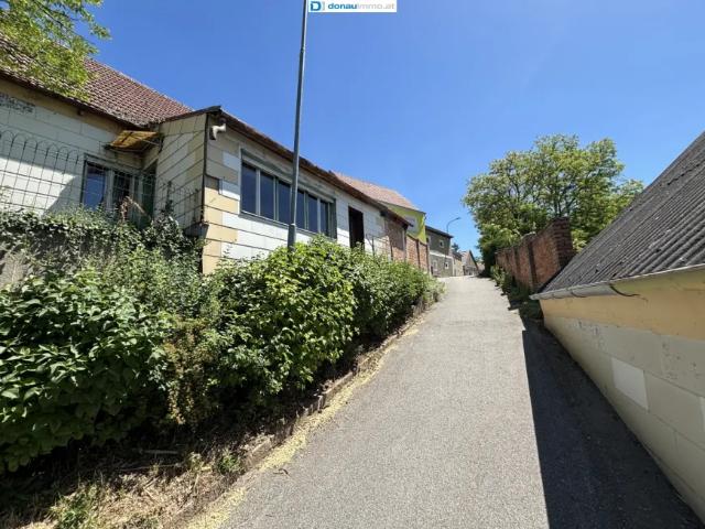 Haus kaufen in Bernhardsthal, Niederösterreich