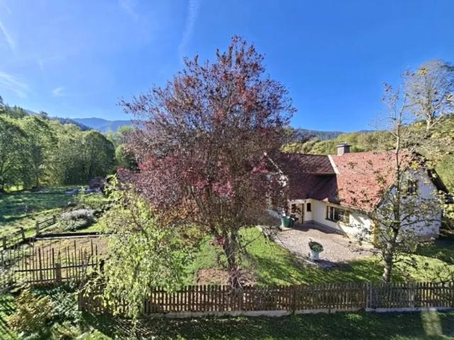Haus kaufen in Kernhof, St. Aegyd am Neuwalde