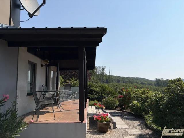 Haus kaufen in Kirchbach, Kärnten