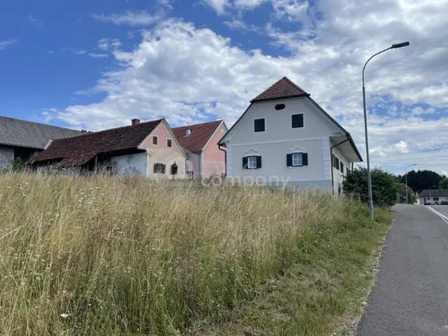 Haus kaufen in Kirchberg an der Raab, Steiermark