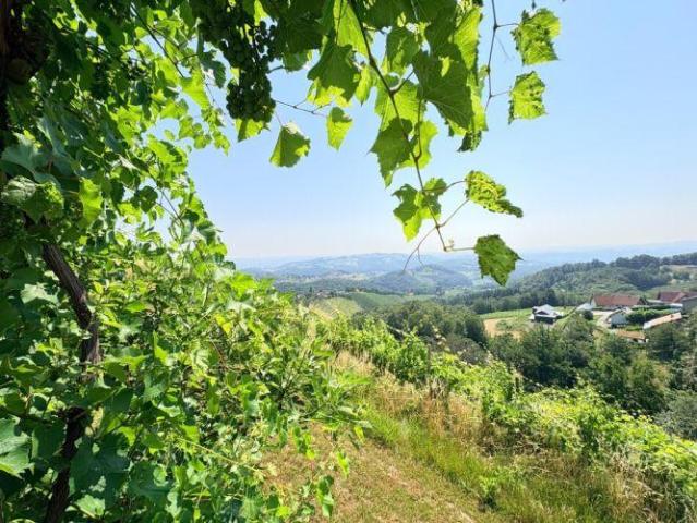 Haus kaufen in Kitzeck im Sausal, Steiermark