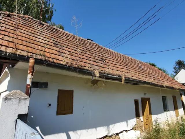 Haus kaufen in Großwarasdorf, Burgenland